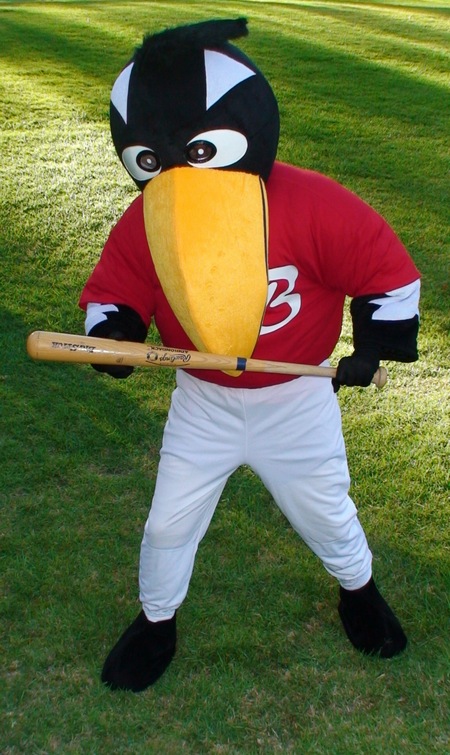 baseballresize.jpg