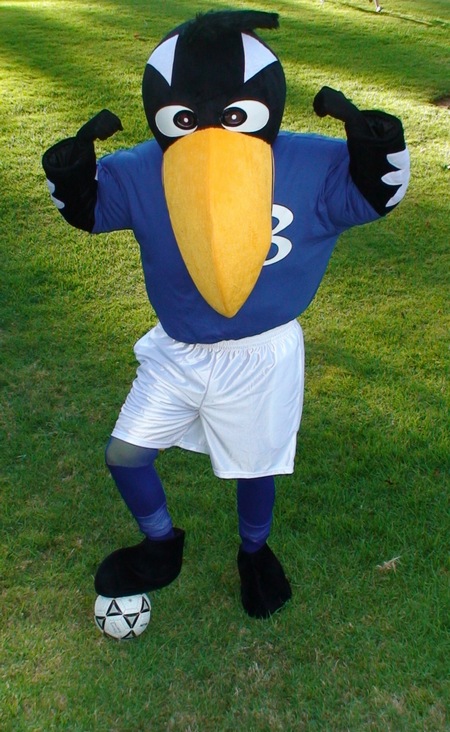 soccerresize.jpg